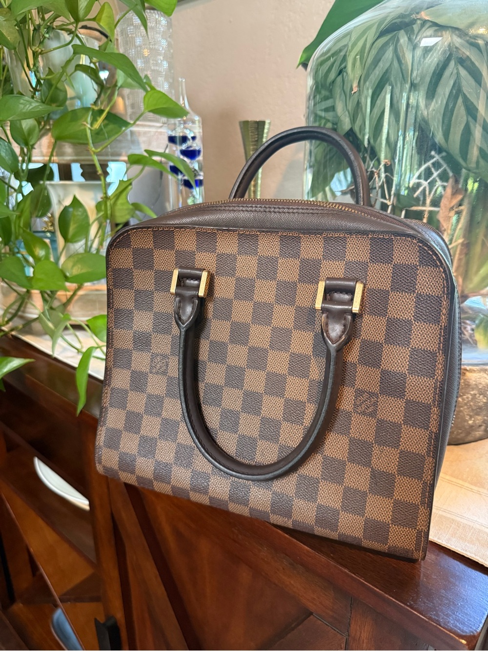 Louis Vuitton Triana